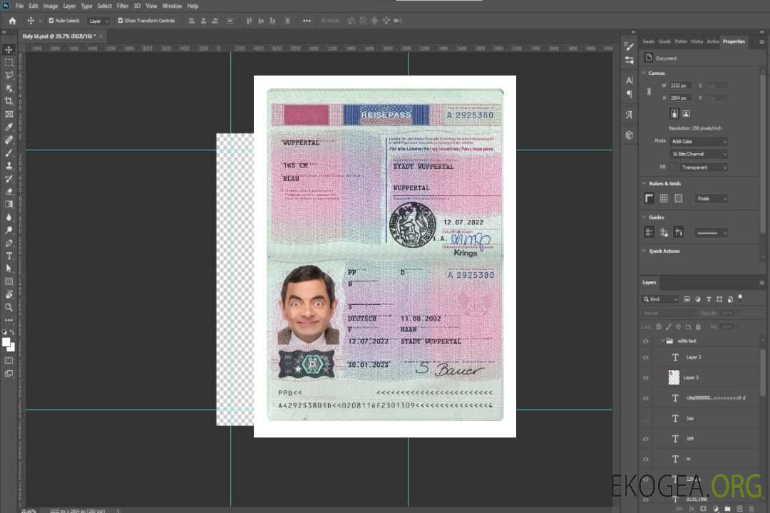 Passeport allemand 2022-présent template Passeport allemand 2022-présent template